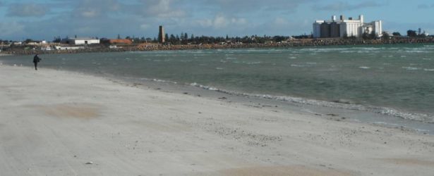 Photo of Wallaroo