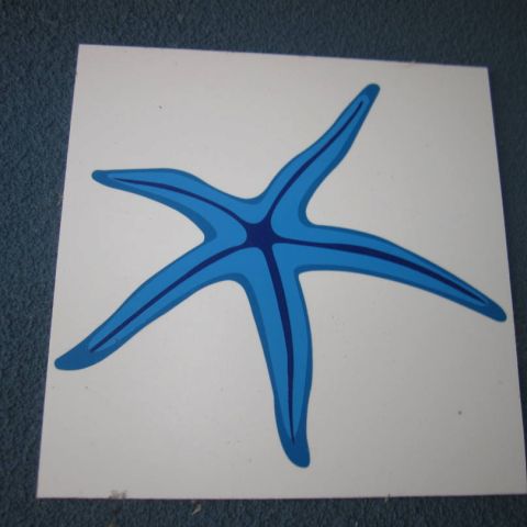 Waterfront Starfish_14 Sept 2011_