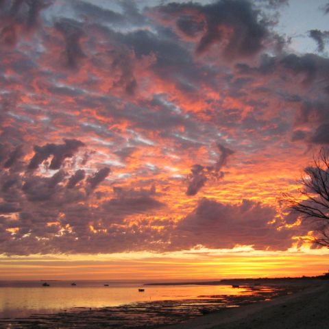 Sultana Point_29 Jan 2010