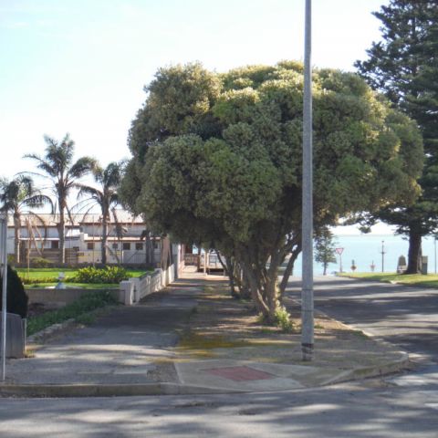 The Albatross_27 June 2016_ (39)