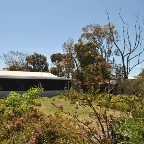 clinton-cabin_2-november-2016_-9