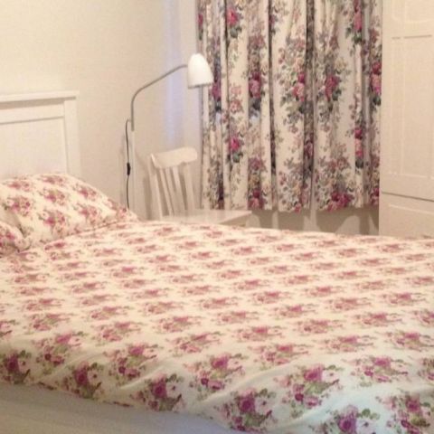 Catalina Cottage_12 October 2017_ (4)