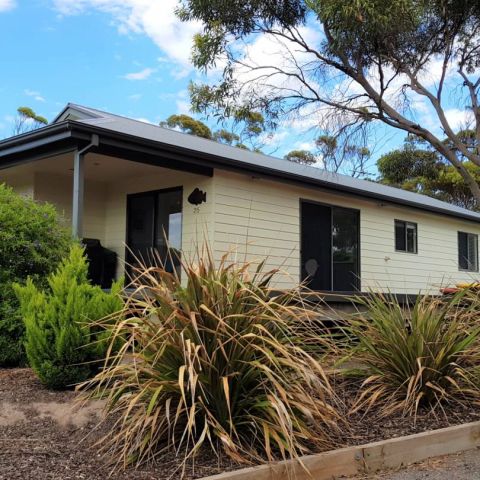 Adonis Dream_9 February 2018_ (41)