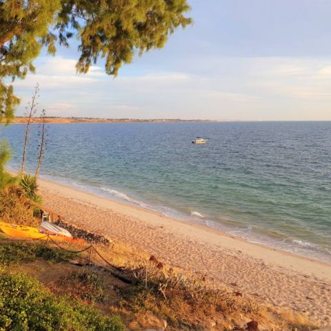 Albarino_25 February 2018_ (41)