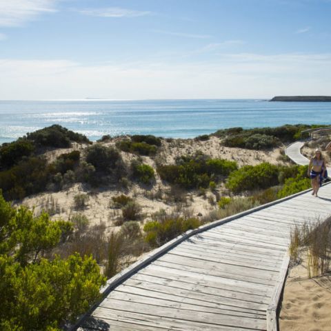 Pondalowie Boardwalk, Innes National Park_21793