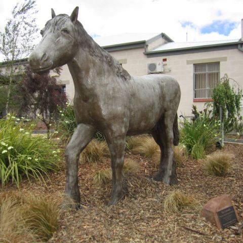 Clydesdale Cottage_23 Nov 2011_