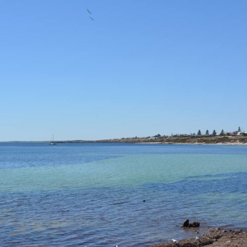 Ocean Swell_21 March 2015_05