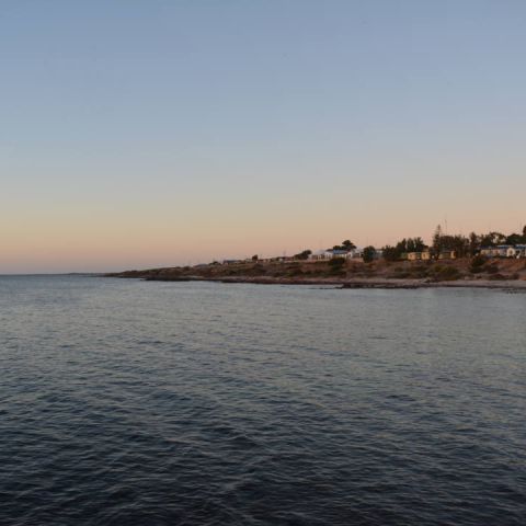 Ocean Swell_21 March 2015_13