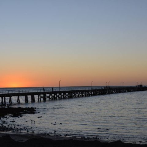 Ocean Swell_21 March 2015_18