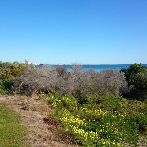 Ocean View_30 August 2015_49