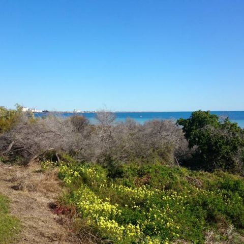 Ocean View_30 August 2015_50