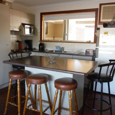 Sea Shells_17 March 2014_ (10)