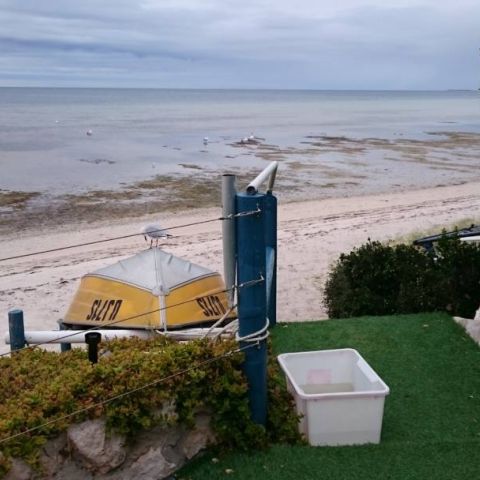 St Helens Beachfront_5 Nov 2015_ (8)