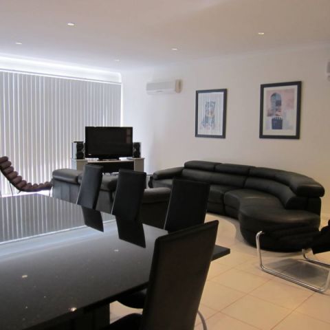 Waterfront Dolphin_14 June 2011_